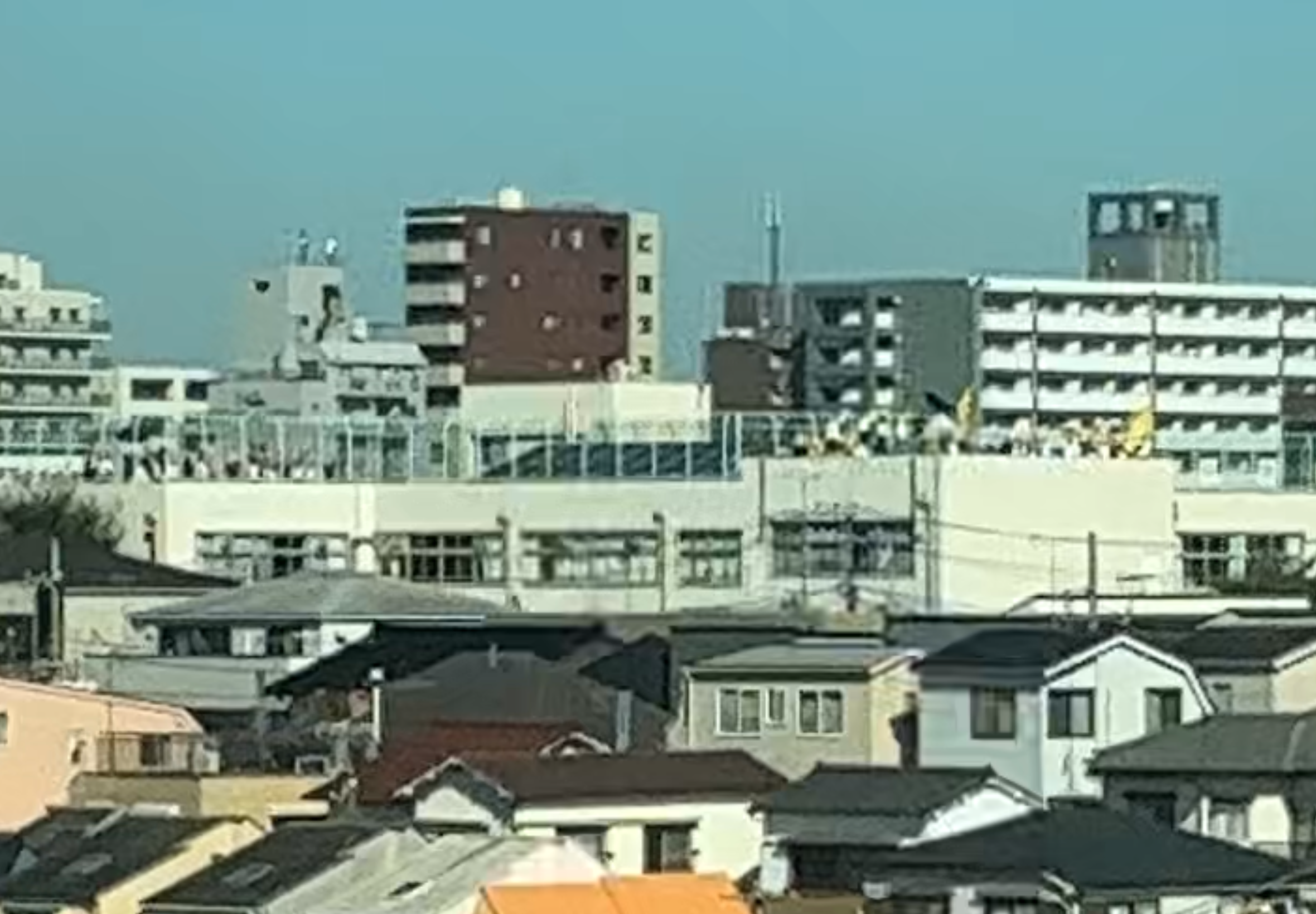 IMG_1247